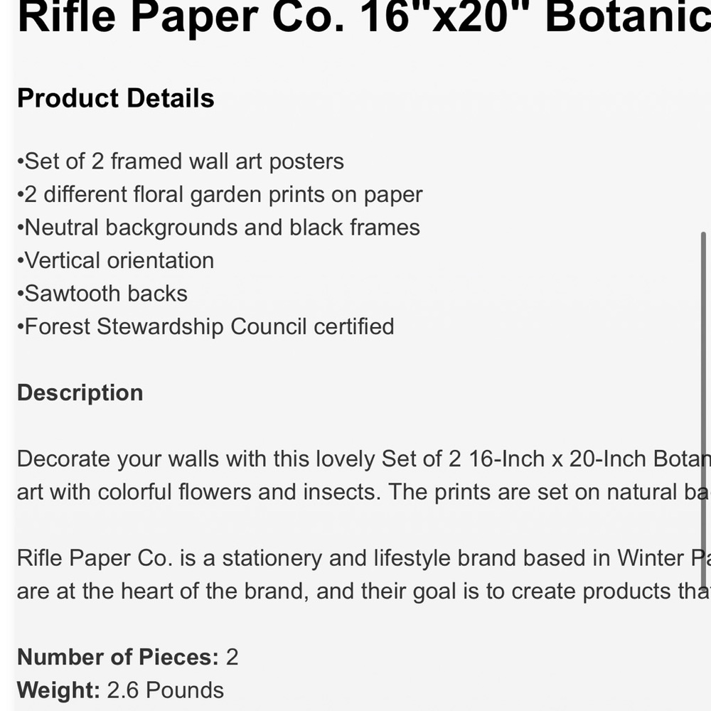 Set of 2: 16"x20" framed Botanical Posters by Rifle Paper Co - Picture 4 of 4